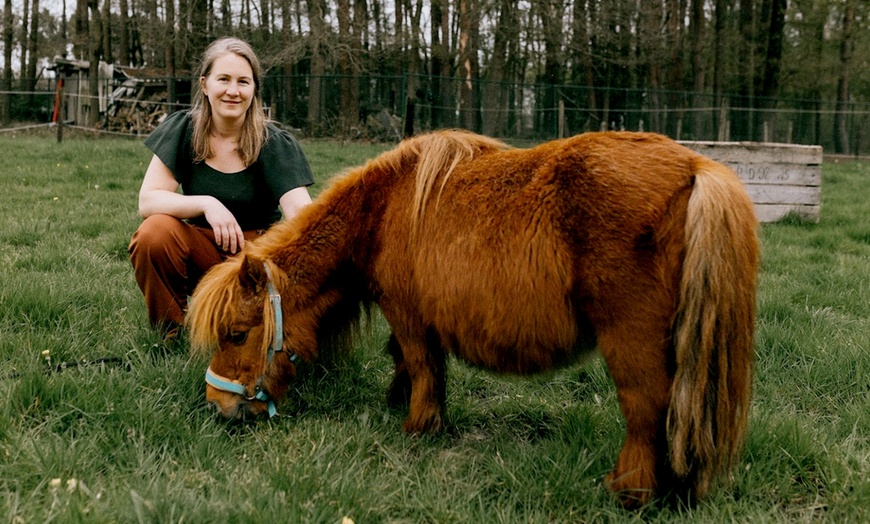 Image 1: Jusqu'à 40% de réduction sur le coaching mental des chevaux