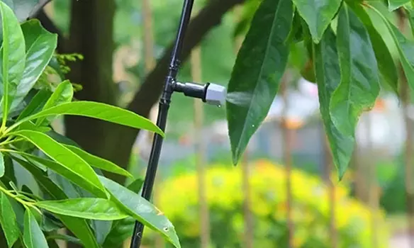 Kit sistema di irrigazione automatica, nebulizzatore acqua per esterni