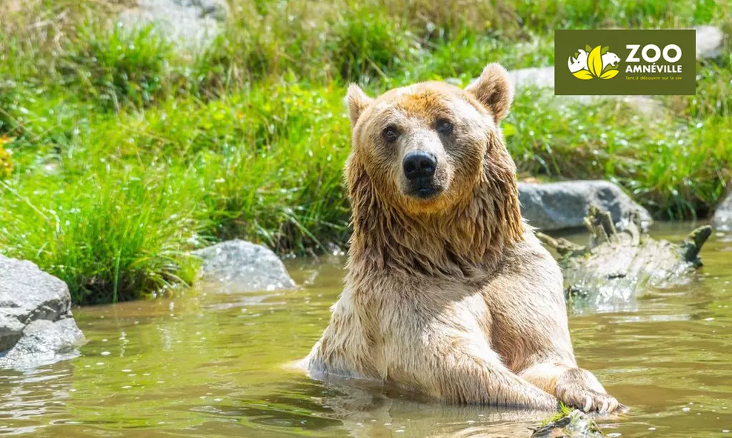 Plongée sauvage au Zoo d’Amnéville : 1 billet adulte ou enfant