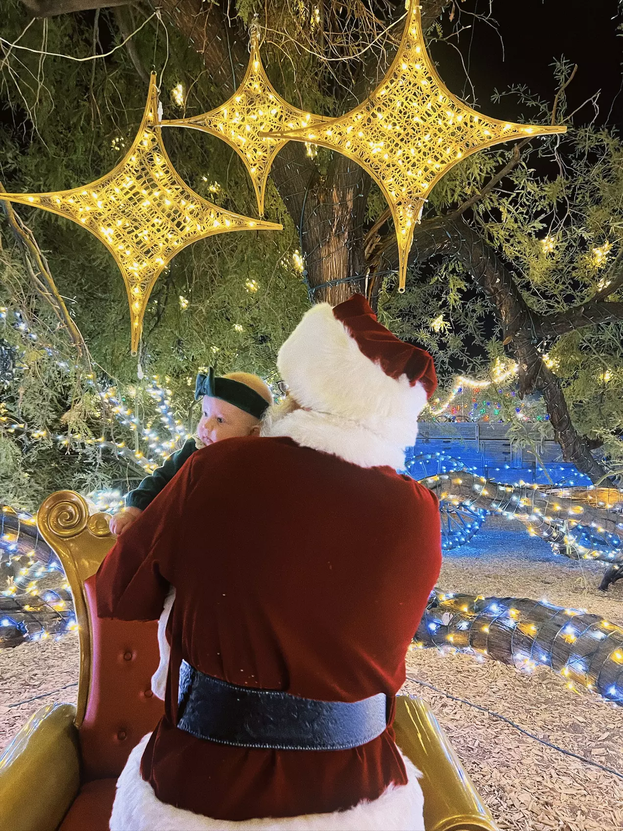 Desert Farm Lights - Holiday Festival Admission for Two