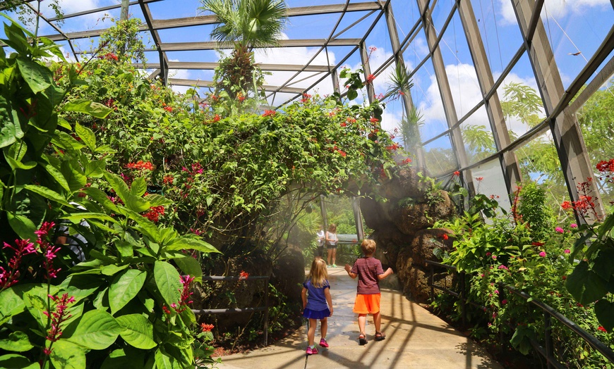 Butterfly World in Coconut Creek, FL Groupon