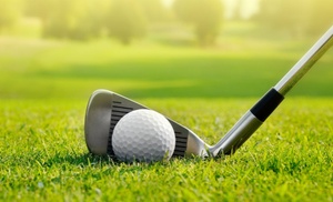 Leren golfen: 1-daagse GVB-cursus