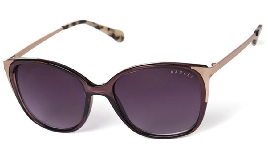 Image 5: Radley Sunglasses Collection