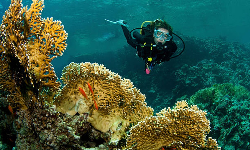 Image 4: Emoción bajo el agua: bautismo de buceo, diploma y descuento en cursos