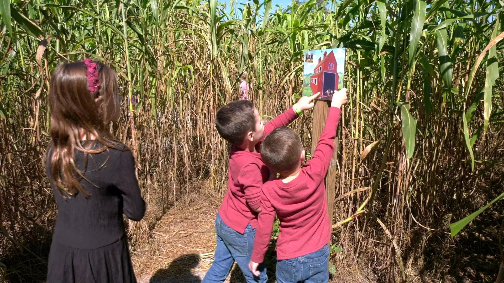 Country Christmas at HarvestMoon Fun Farm - Holiday Family Fun