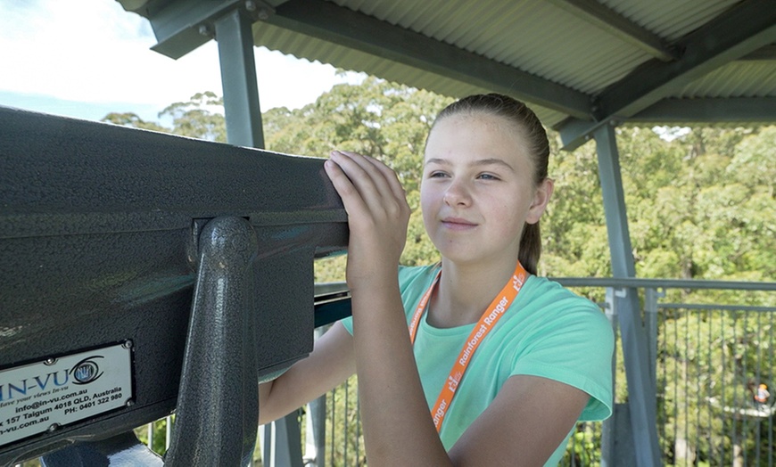 Image 3: Illawarra Fly Treetop Entry