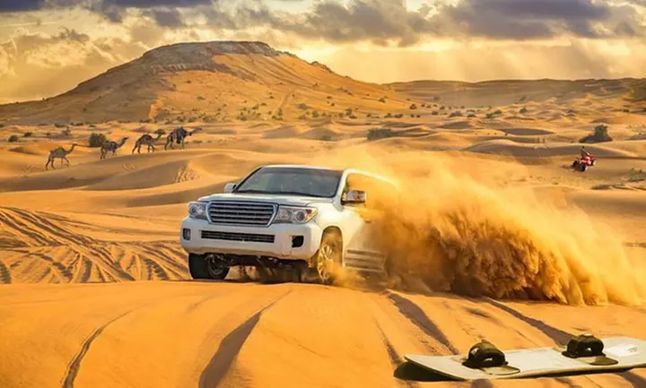 Evening Desert Safari For Up to Six People at Desert Lion Tourism