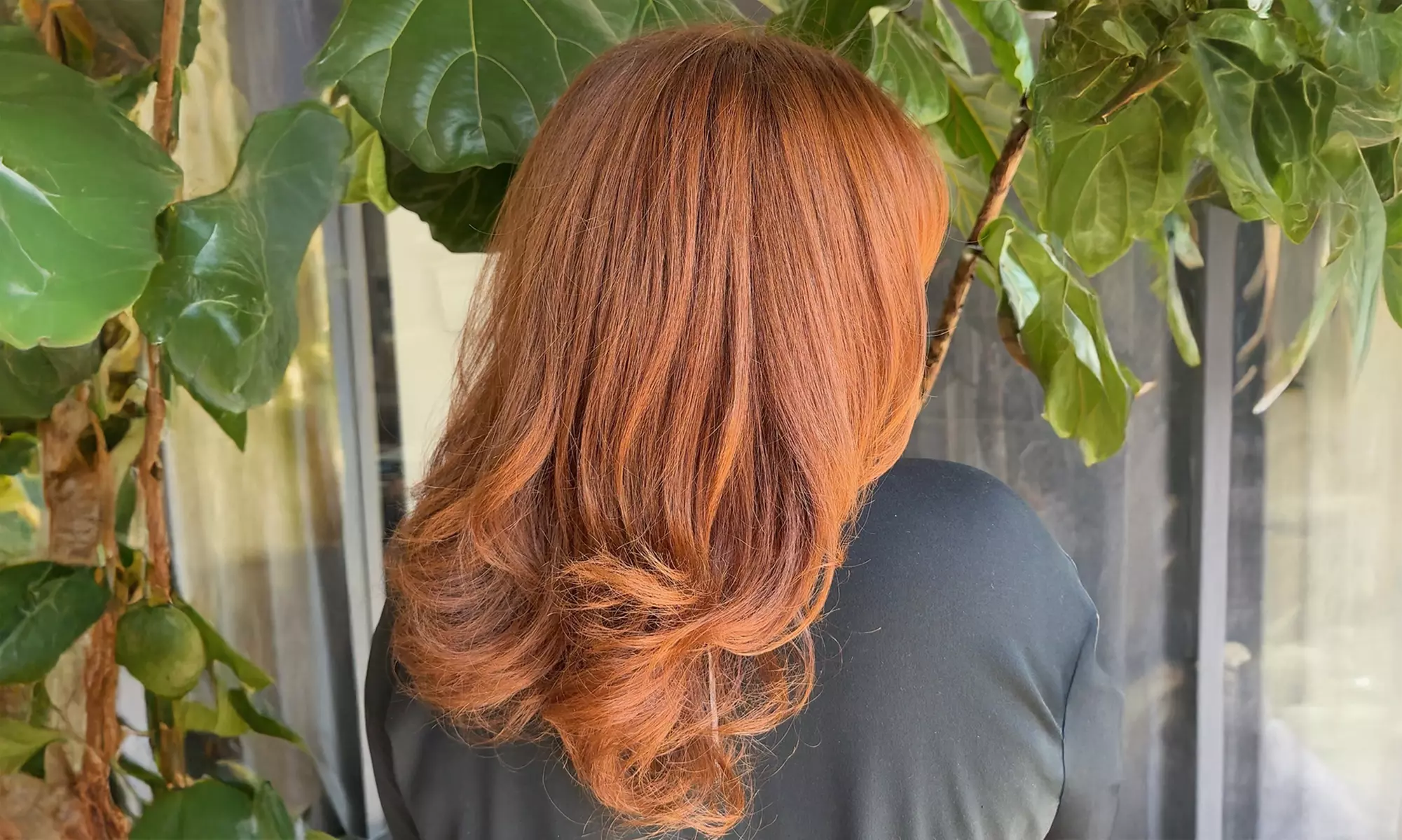 Complete Hair Revival — Cut, Color & Deep Conditioning Packages