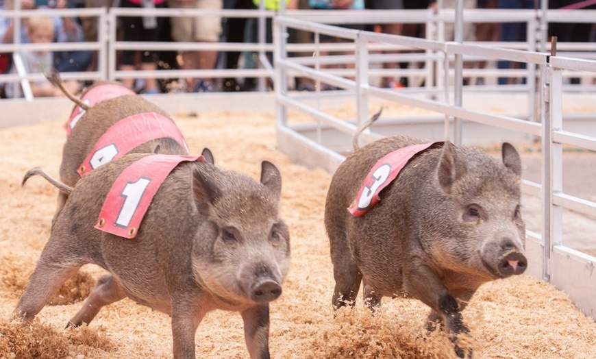 Image 11: Admission to Michigan State Fair with Unlimited Carnival Rides!