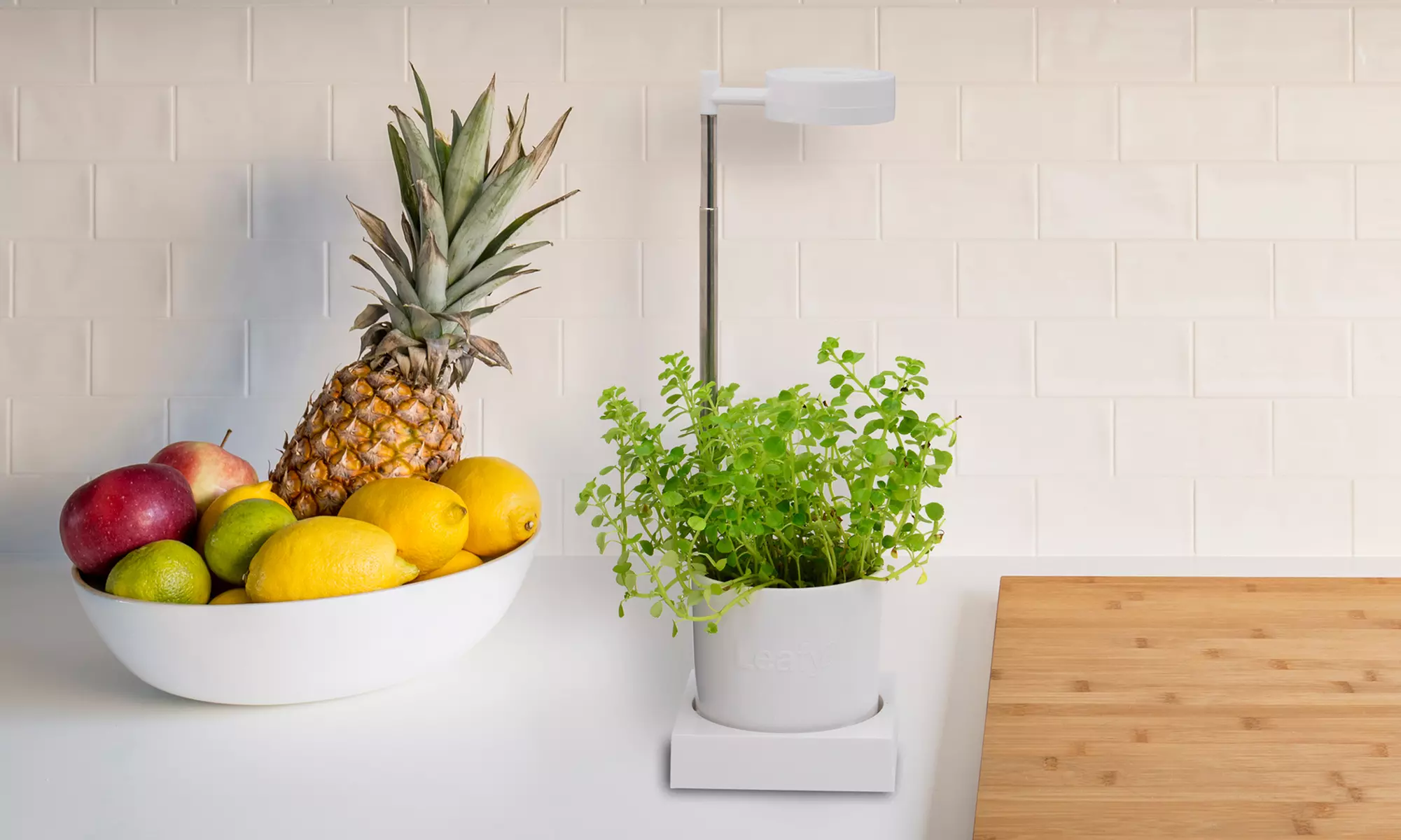 LED Desktop Hydroponics and Grow-Light System - Extendable (7.5" - 17.5") - Primary Image