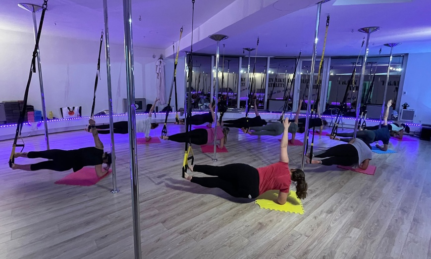 Image 19: Cours de pole dance, hamac, PSM, stretching ou bungeesfit