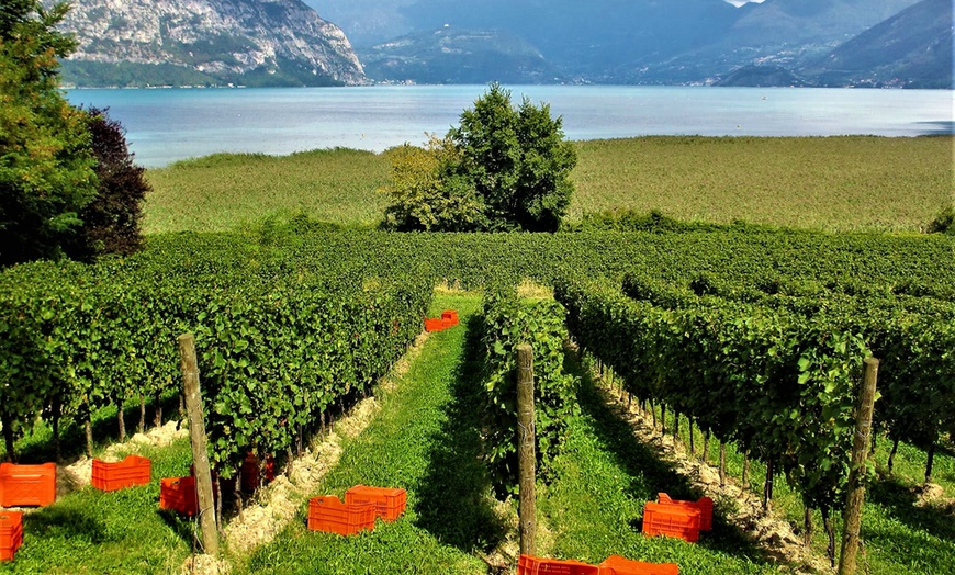 Image 9: Prezzi Ribassati - Lago d'Iseo: appartamento, colazione