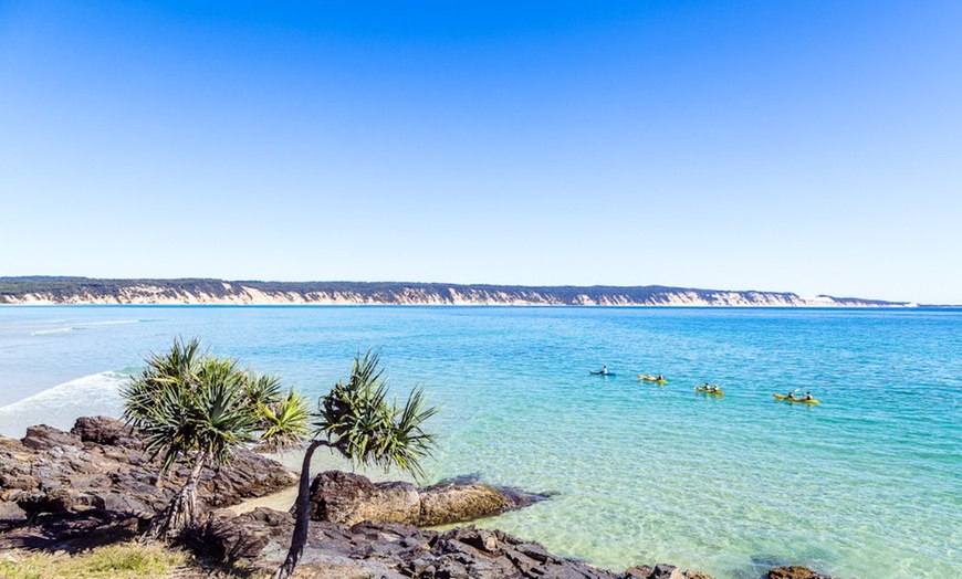 Image 4: Dolphin-View Kayak Tour or Private Day Tour to Double Island Point