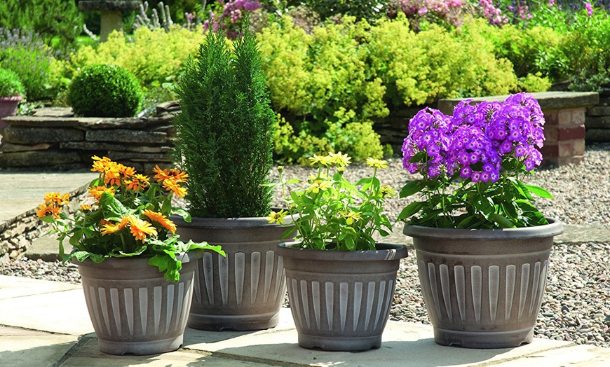 Image 1: Georgian Planters