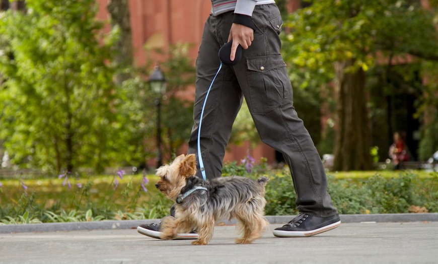 kosoku retractable dog leash