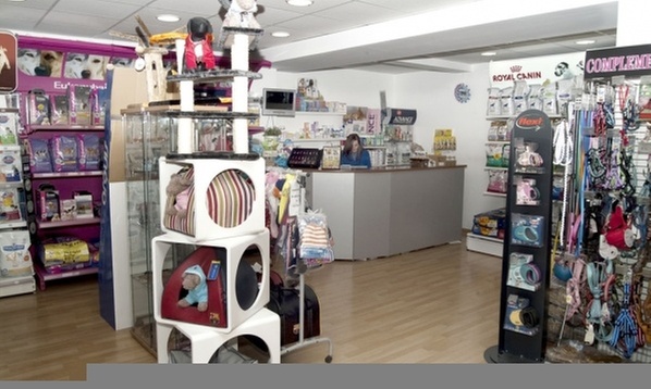 Esterilización para perra