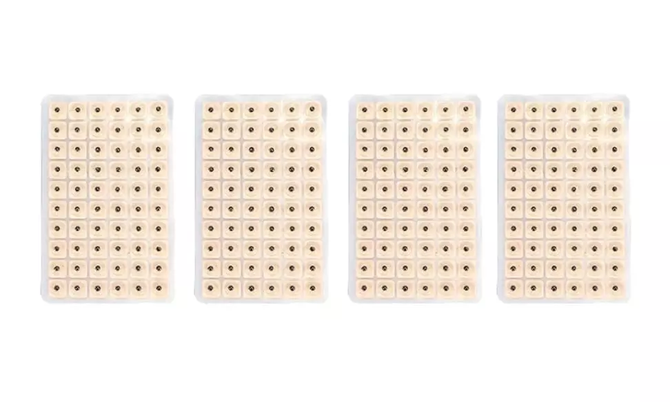 Bis zu 10x Acusoothe Ohrensamen für Akupressur und Akupunktur-Therapie