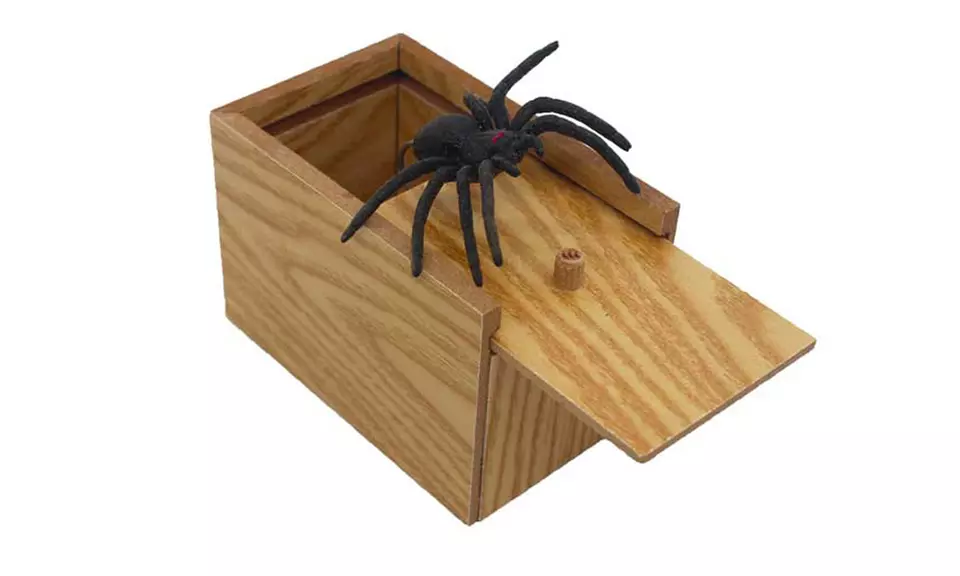 Anonymously Mail The Frustration Box, Spider Box, or Annoying Sound from Mail Anonymous Pranks (Up to 47% Off) - Primary Image
