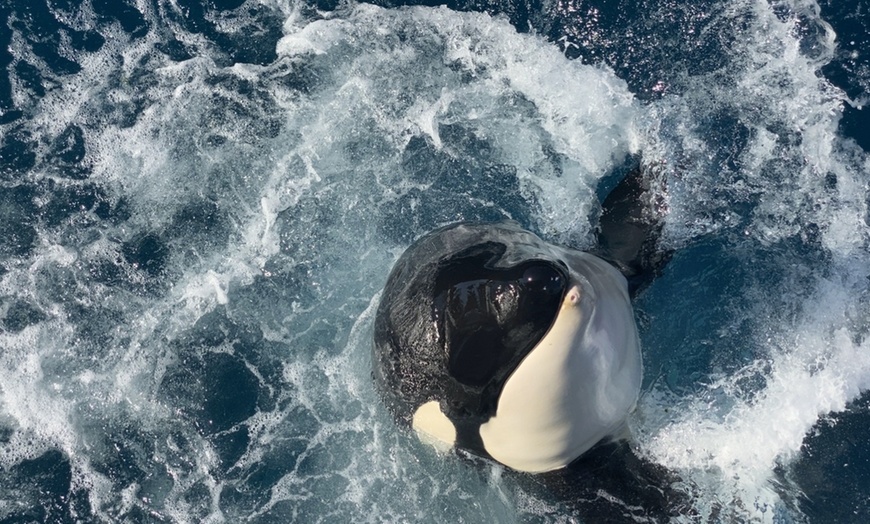 Image 13: Entrée au parc Marineland