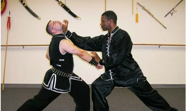 One or Two Months of Tai Chi or Kung Fu Classes at Northern Shaolin Kung Fu and Tai Chi Academy (Up to 76% Off) - Primary Image