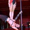 Image 9: Le Cirque Pinder : un spectacle légendaire au mois d'octobre à Lille