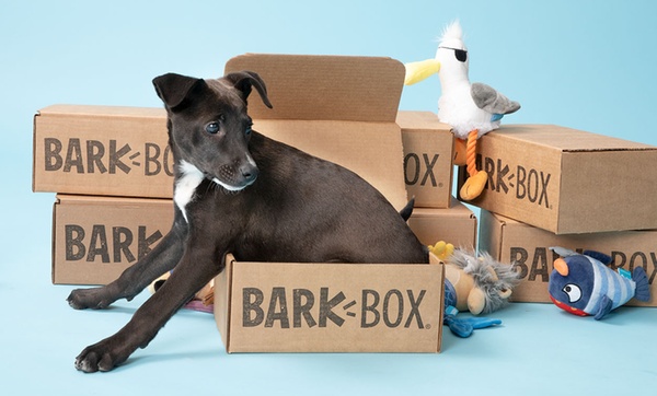 barkbox premium toy