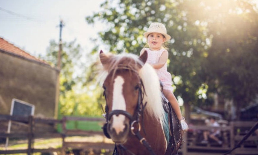 Image 6: Paseo en poni para niños con La Finca Pony Club