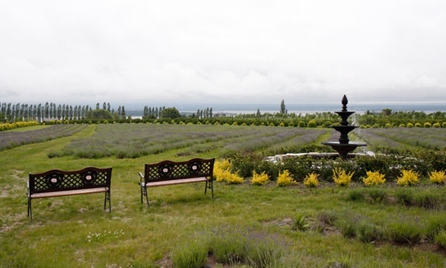 Image 3: Tour of the Gardens