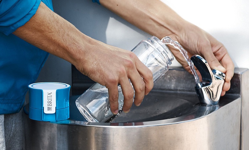 Image 12: Brita Bottles with Microdiscs
