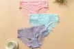 Women’s Lace Stretch Briefs in Mixed Colours - Image 4