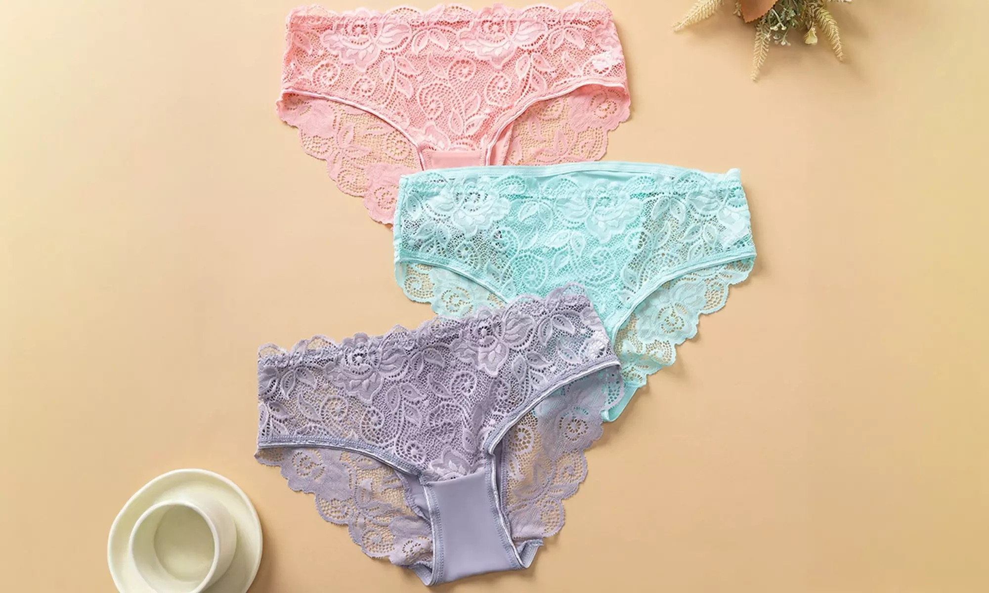 Women’s Lace Stretch Briefs in Mixed Colours