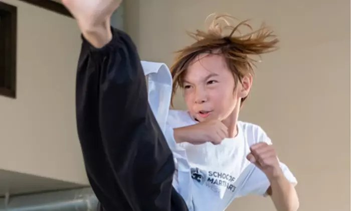 1 Month of Brazilian Jiu Jitsu, Tai Chi, Martial Arts or Wushu I-III