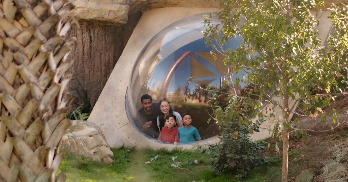San Antonio Zoo Discount Tickets - Up to 30% Off Admission
