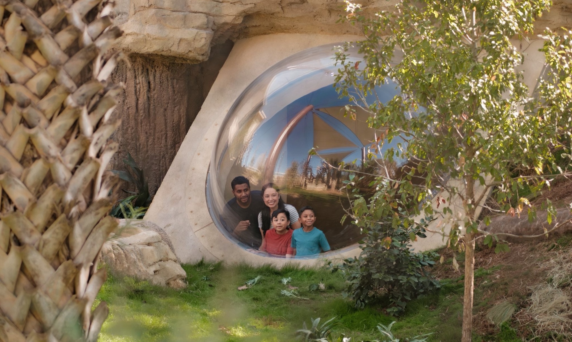 Embark on an Exhilarating Wildlife Adventure at San Antonio Zoo - Up to 30% Off!