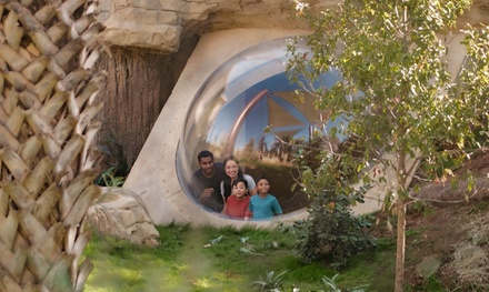 General Admission for One Person (valid any date in 2026) - San Antonio Zoo, Texas