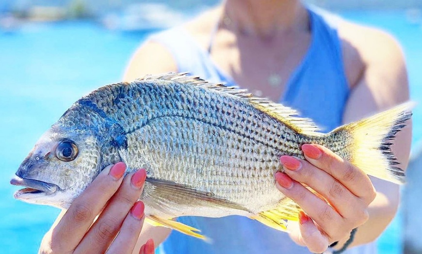 Image 5: Onshore Fishing Experience