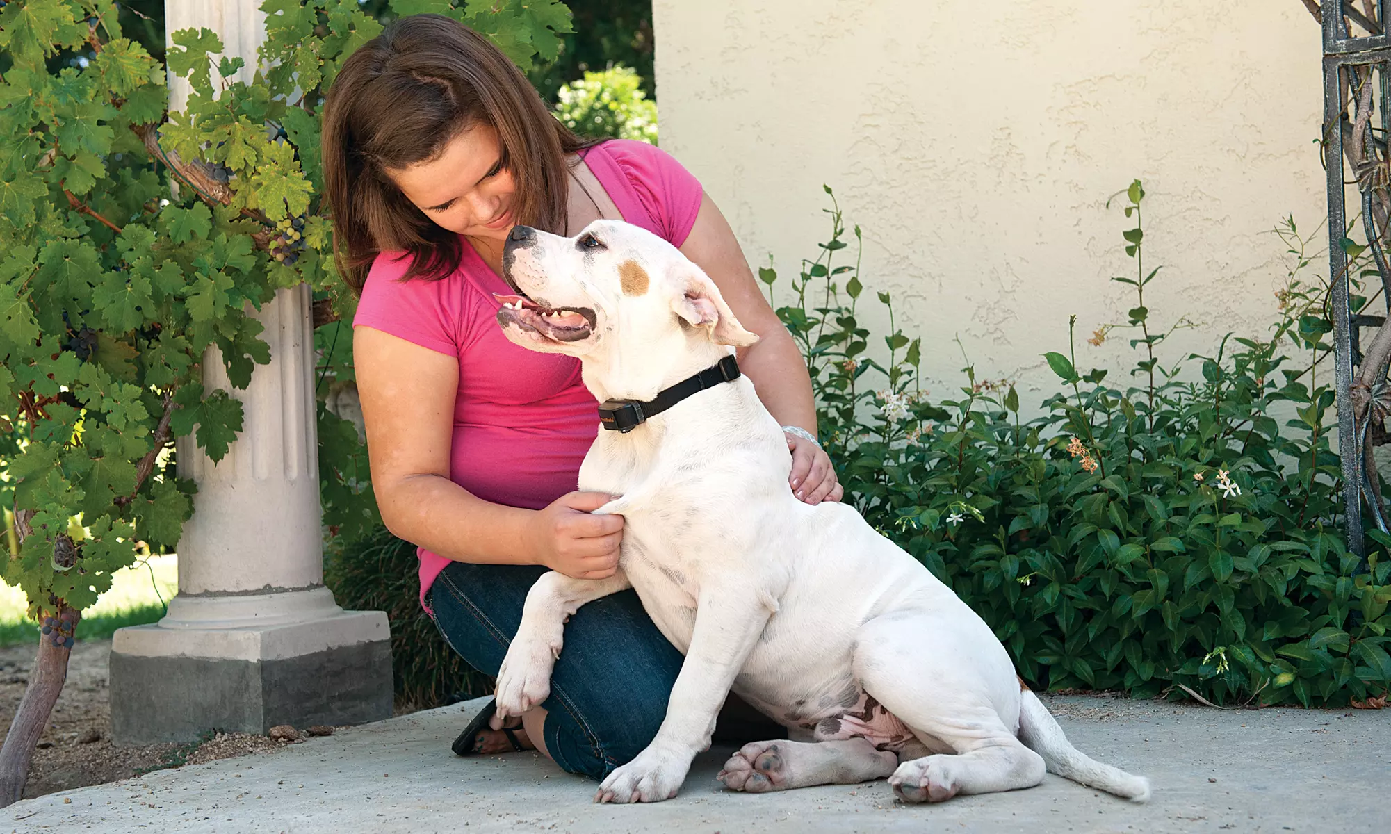 PetSafe Bark Control Devices for Dogs - Primary Image