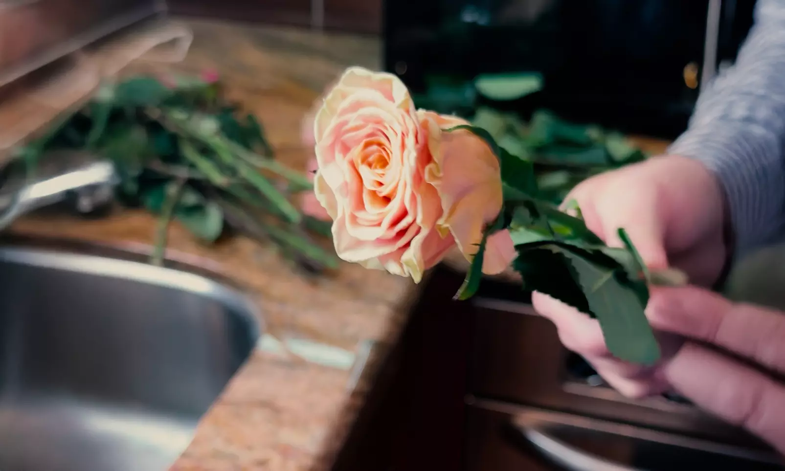 Next Day Delivery Deal: 24 ct Farmers Choice Rose Bouquets - Rose Farmers Up to 50% Off