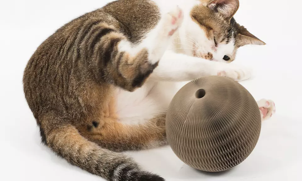 Paper Ball Cat Toy - Primary Image