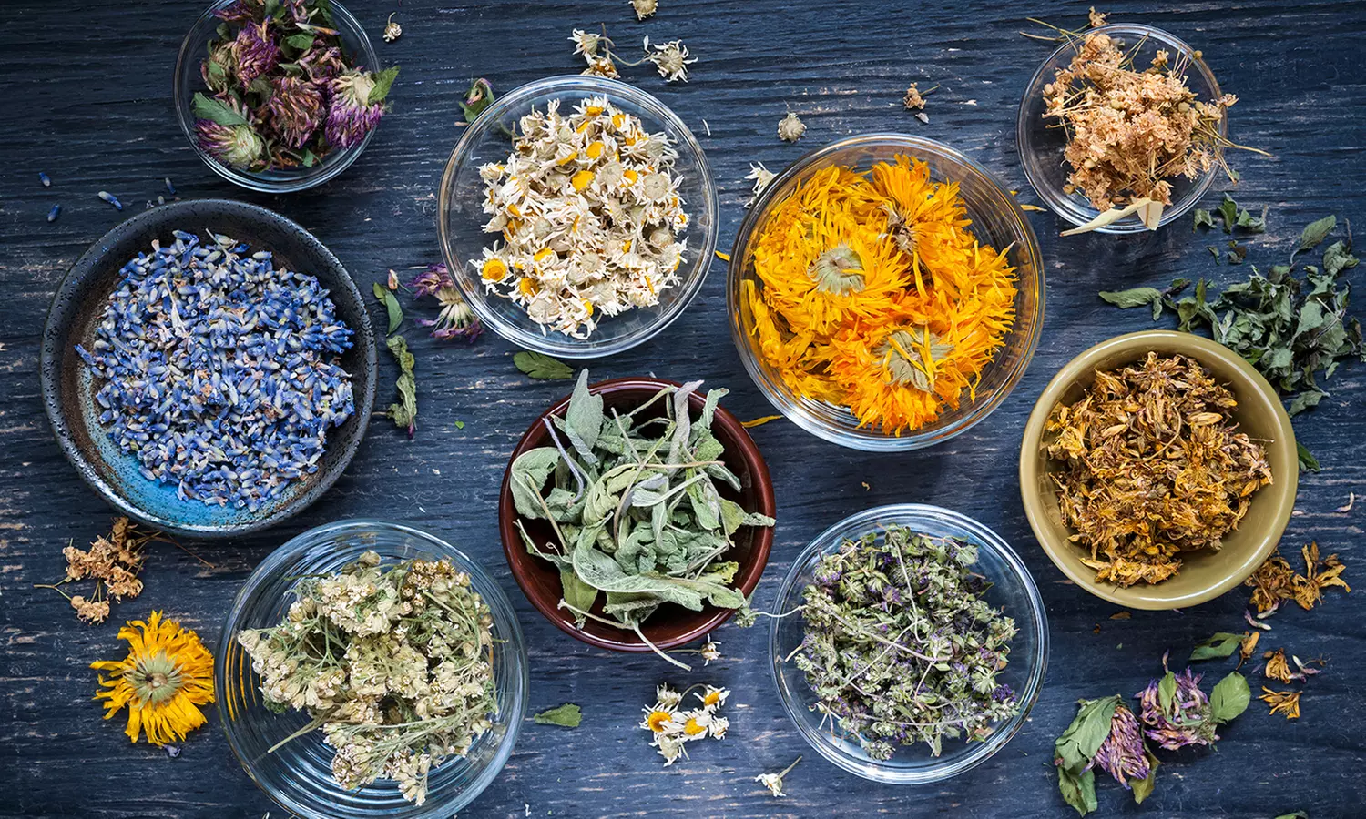 Certified Master Herbalist Online Course