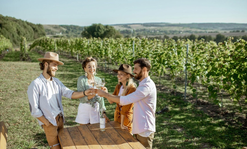 Image 1: Visita guiada a la bodega y cata de vinos en Bodegas Urbina