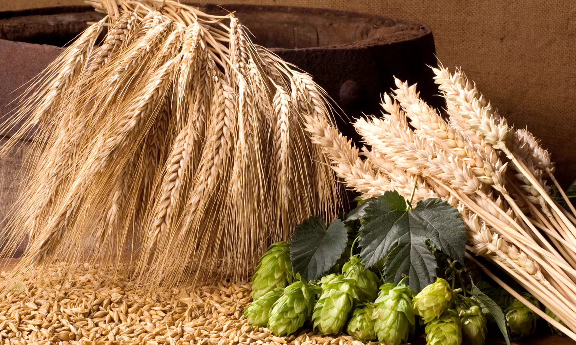 Beer-, Wine-, and Cheese-Making Products or Beer-Making Kit and More for One at Beer & Wine Hobby (50% Off)    - Primary Image