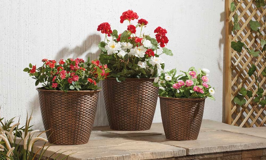 Image 1: Three-Pk Rattan-Effect Planters