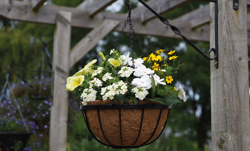 Image 9: Garden Hanging Basket Collection