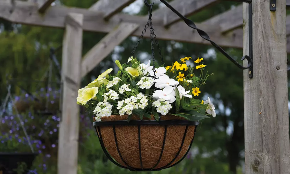 Garden Hanging Basket Collection