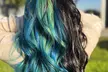 Haircut, Condition and Blow-Dry with Optional Single Process, Highlights, Ombre or Balayage (Up to 55% Off) - Second Medium