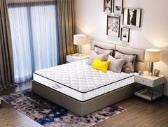  Comforpedic Five-Zone Ma... 