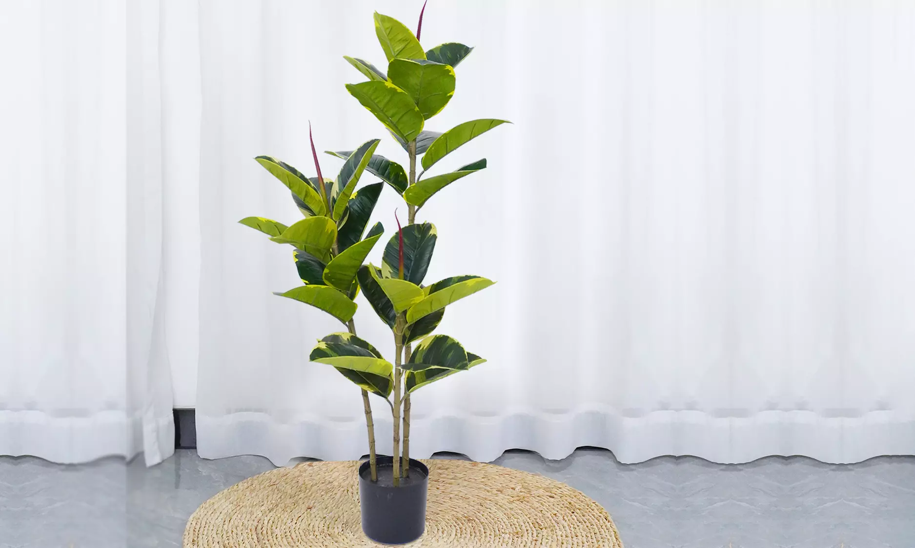 Collezione di piante finte da interno