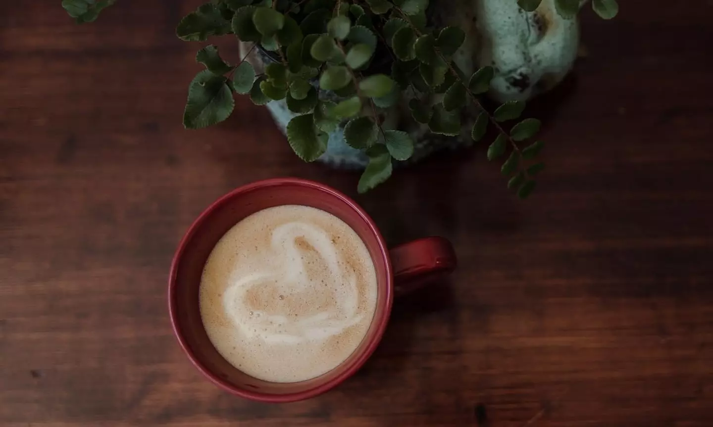 Up to 30% Off on Coffee Shop at Cool Beans Cat Cafe - Second Medium
