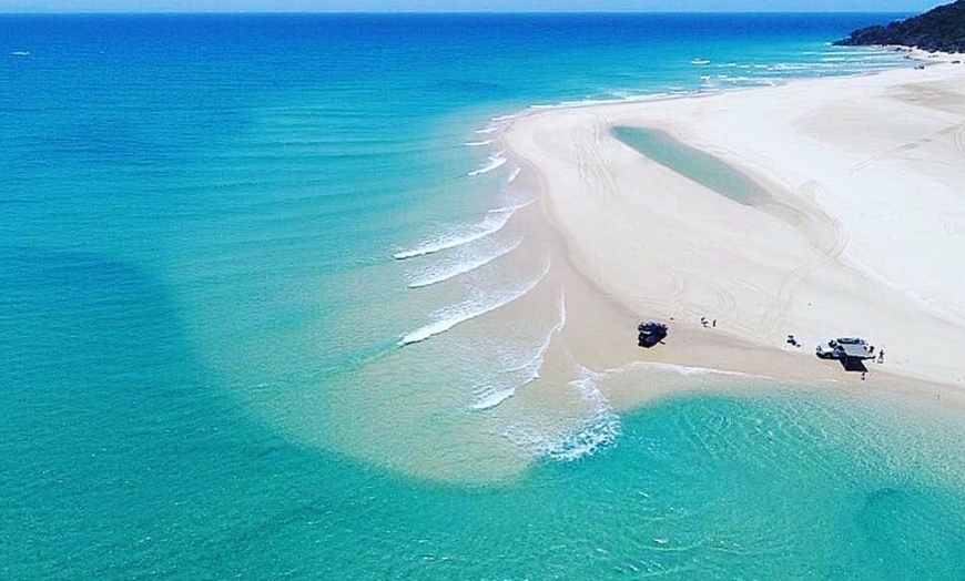 Image 2: Dolphin-View Kayak Tour or Private Day Tour to Double Island Point